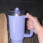 Stanley Quencher H2.0 FlowState Tumbler